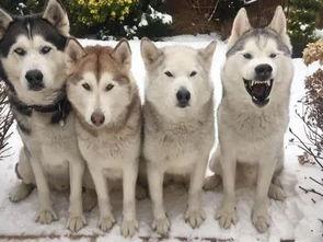 眼尖的吃瓜网友,娱乐圈那些不为人知的幕后故事