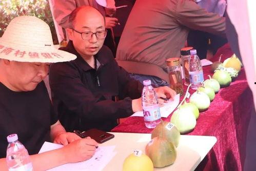 济宁主播吃瓜,趣味横生引网友热议