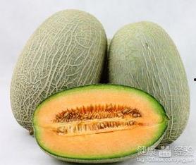 吃哈密瓜的大象,哈密瓜与巨兽的奇妙邂逅