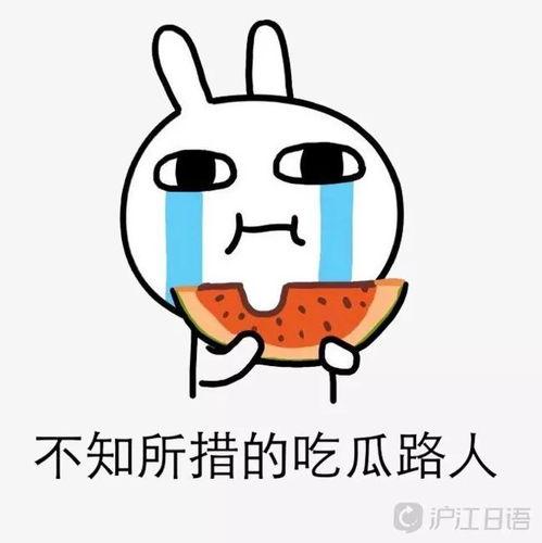 吃瓜特派员,揭秘娱乐圈幕后真相