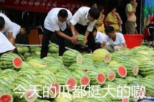 吃瓜讨论帖,揭秘网络讨论帖背后的热点事件