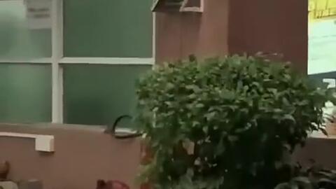 武陟吃瓜新闻,揭秘当地热点事件背后的真相