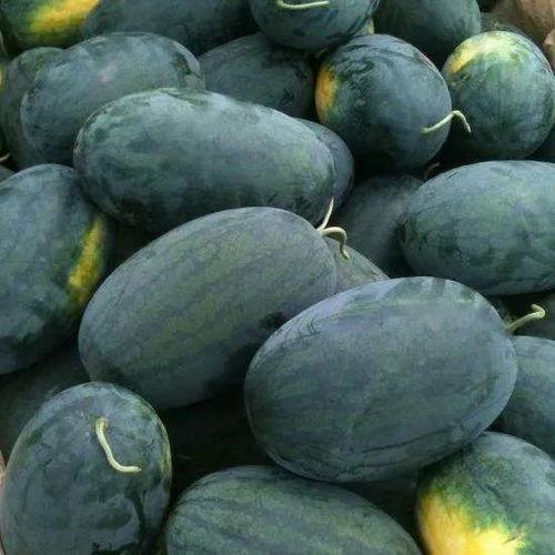 吃瓜是玩,揭秘网络娱乐背后的趣味人生