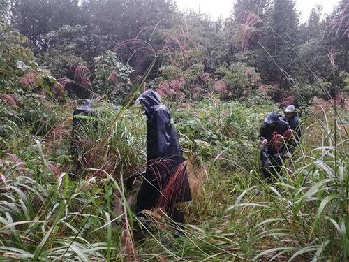 来凤龙山吃瓜,夏日消暑吃瓜，体验地道乡村风情