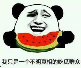 吃瓜君事件,揭秘网络舆论的狂欢与反思