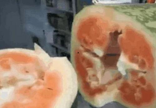 吃瓜能变白吗,吃瓜也能美白？揭秘日常饮食中的美白秘密