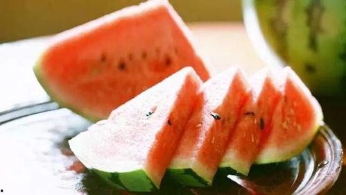 吃瓜合集每日大赛